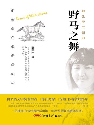 cover image of 野马之舞